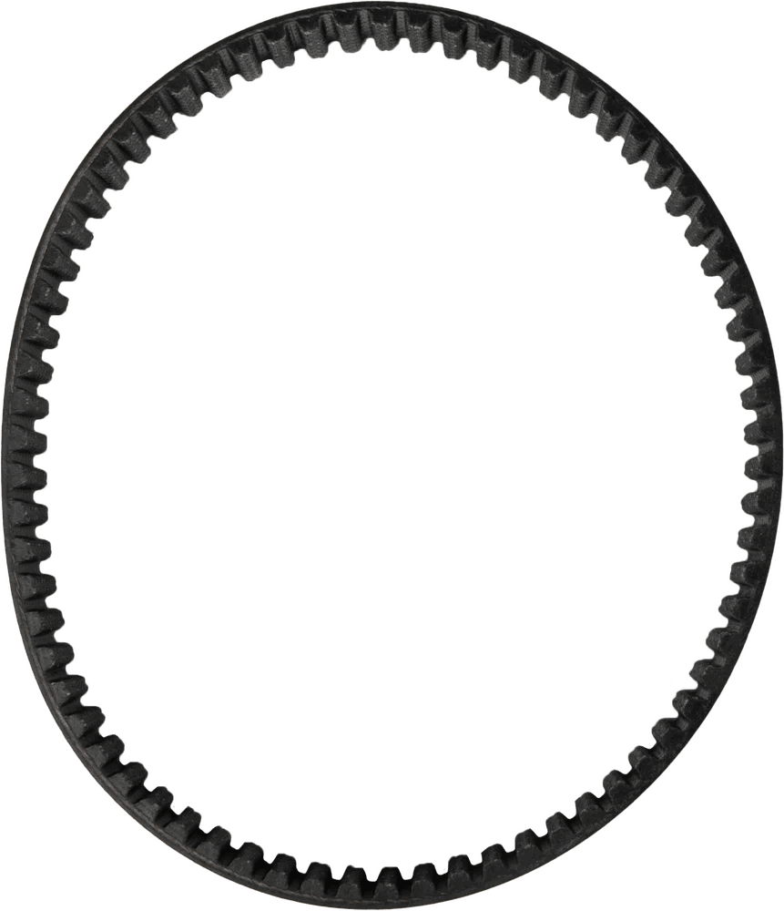 DAYCO Primary Drive Belt - MXwraps