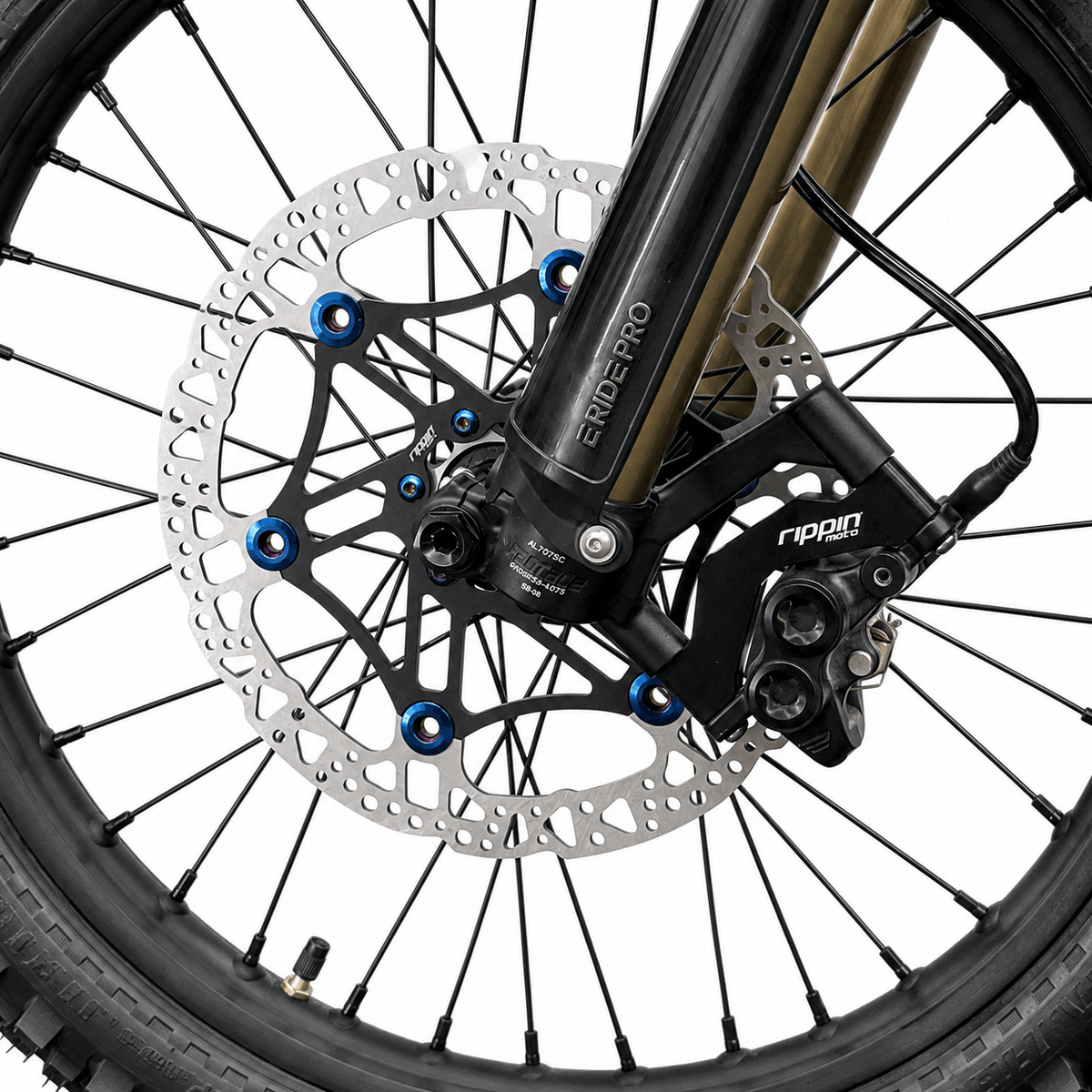 Rippin Moto Gen3 260mm Front Brake Rotor Kit - MXwraps