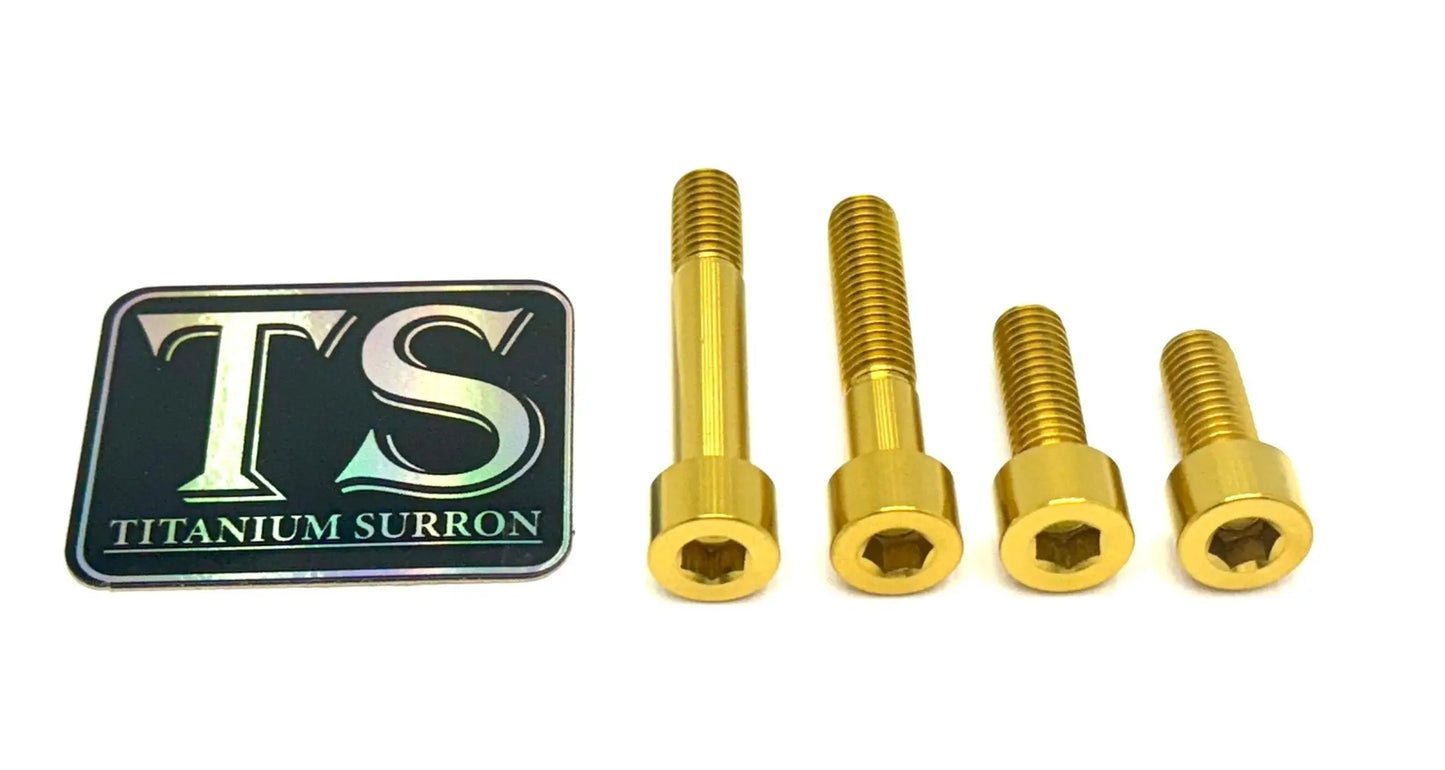 Titanium Motor Bolts - Surron LBX - MXwraps