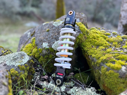 ETM RTR Upgraded Shock - MXwraps