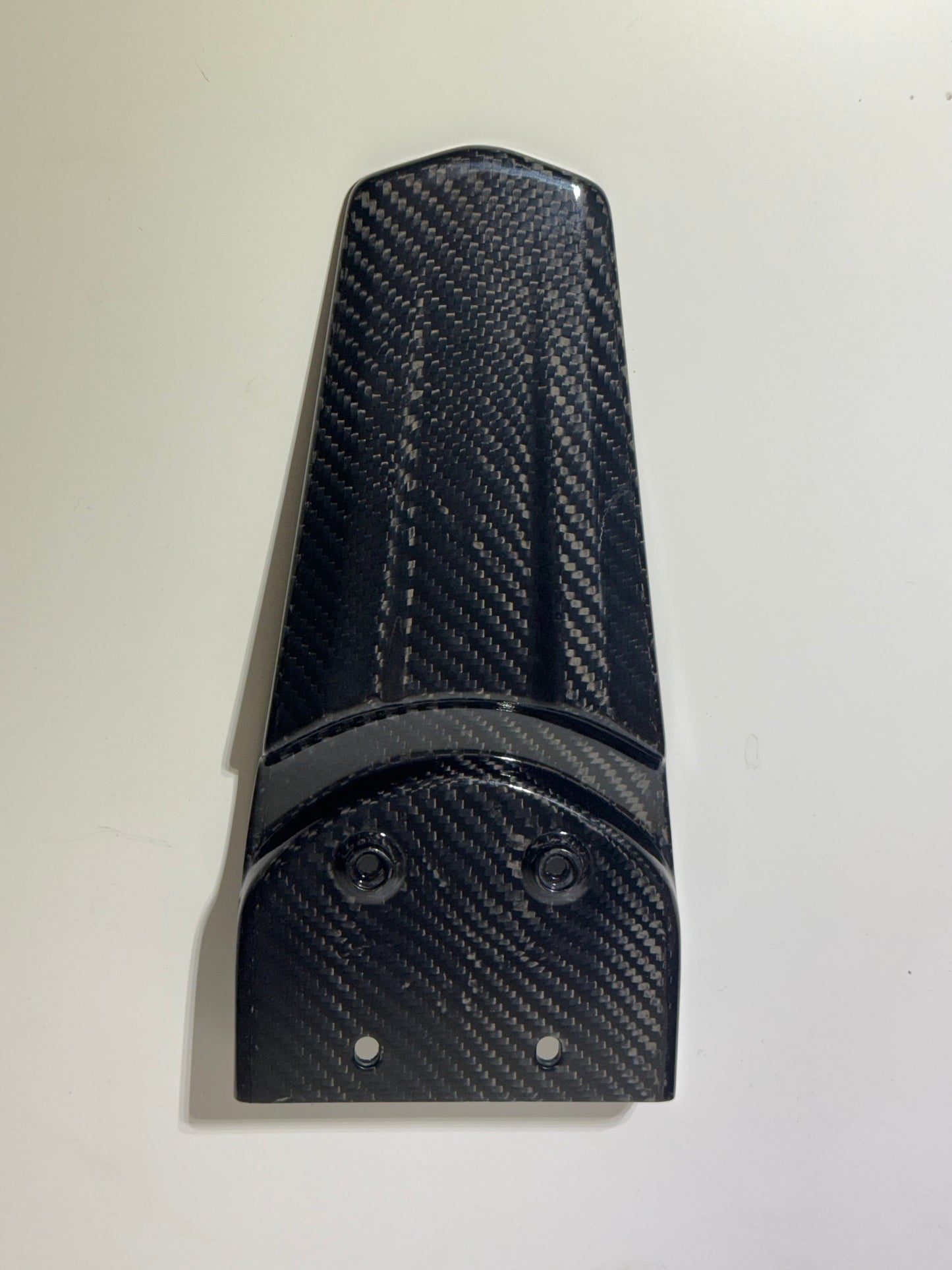 E Ride Pro REAL carbon fender