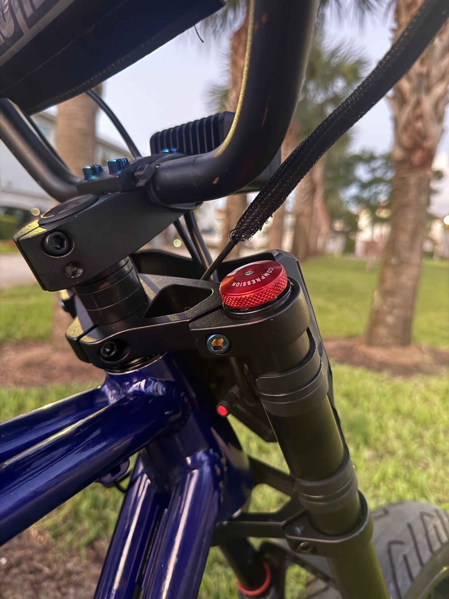 Bucklos triple clamp titanium