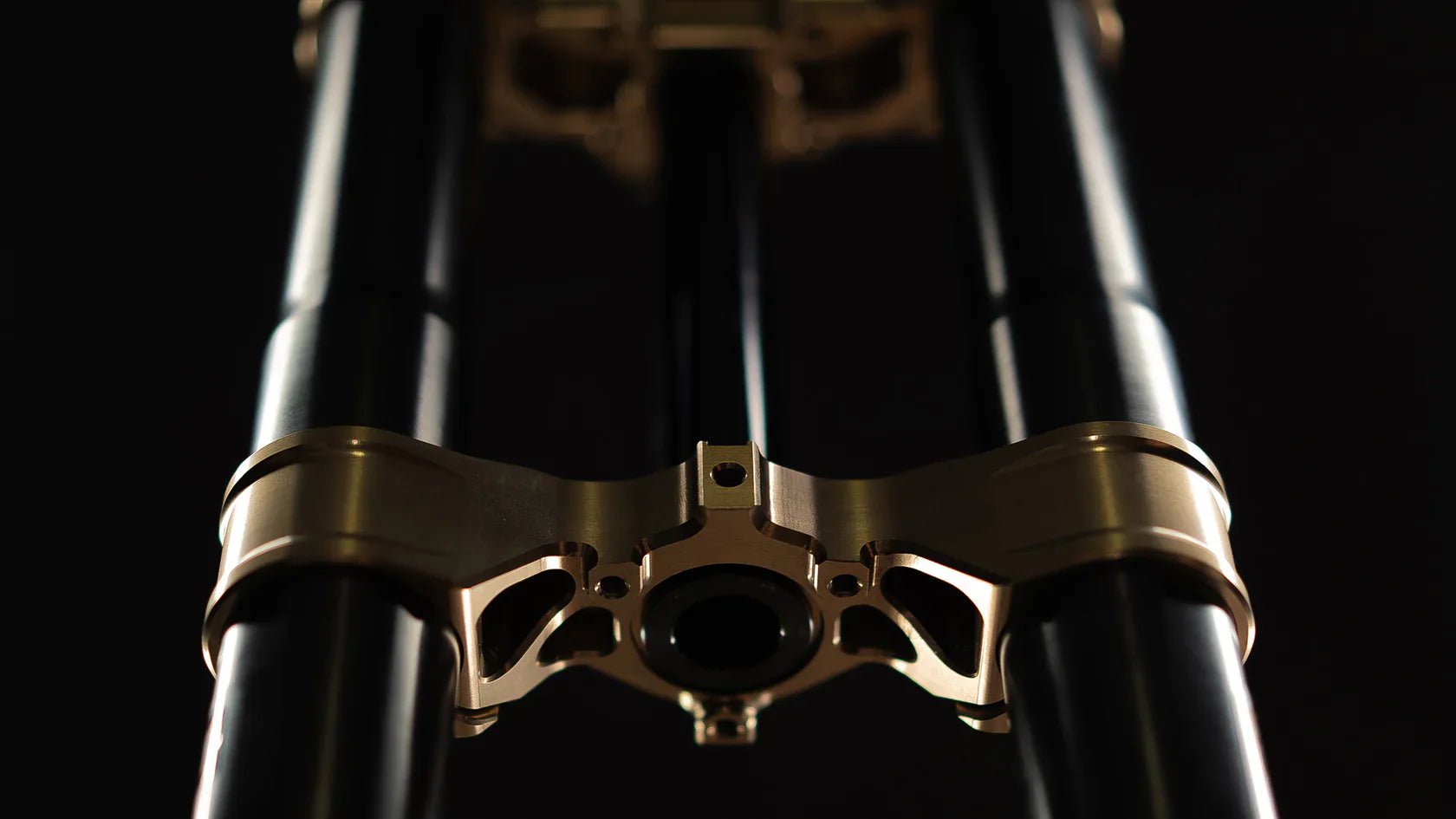 EXT Ferro EMX Fork - MXwraps