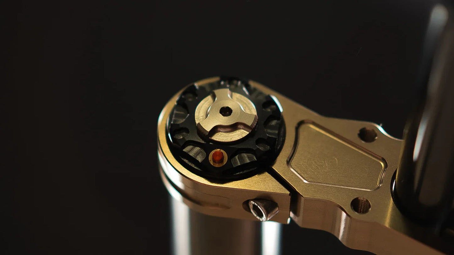 EXT Ferro EMX Fork - MXwraps