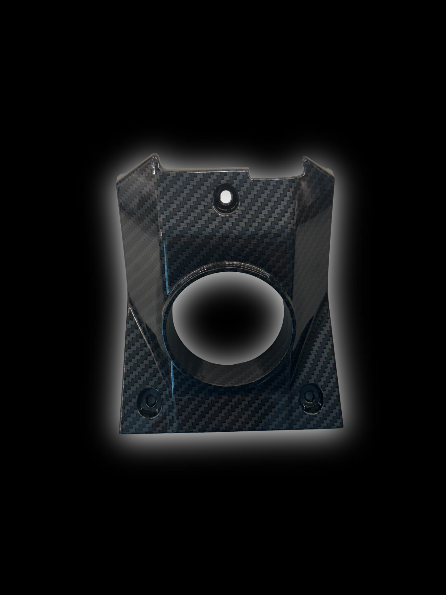 Talaria XXX Imitation Carbon Fiber Horn Cover