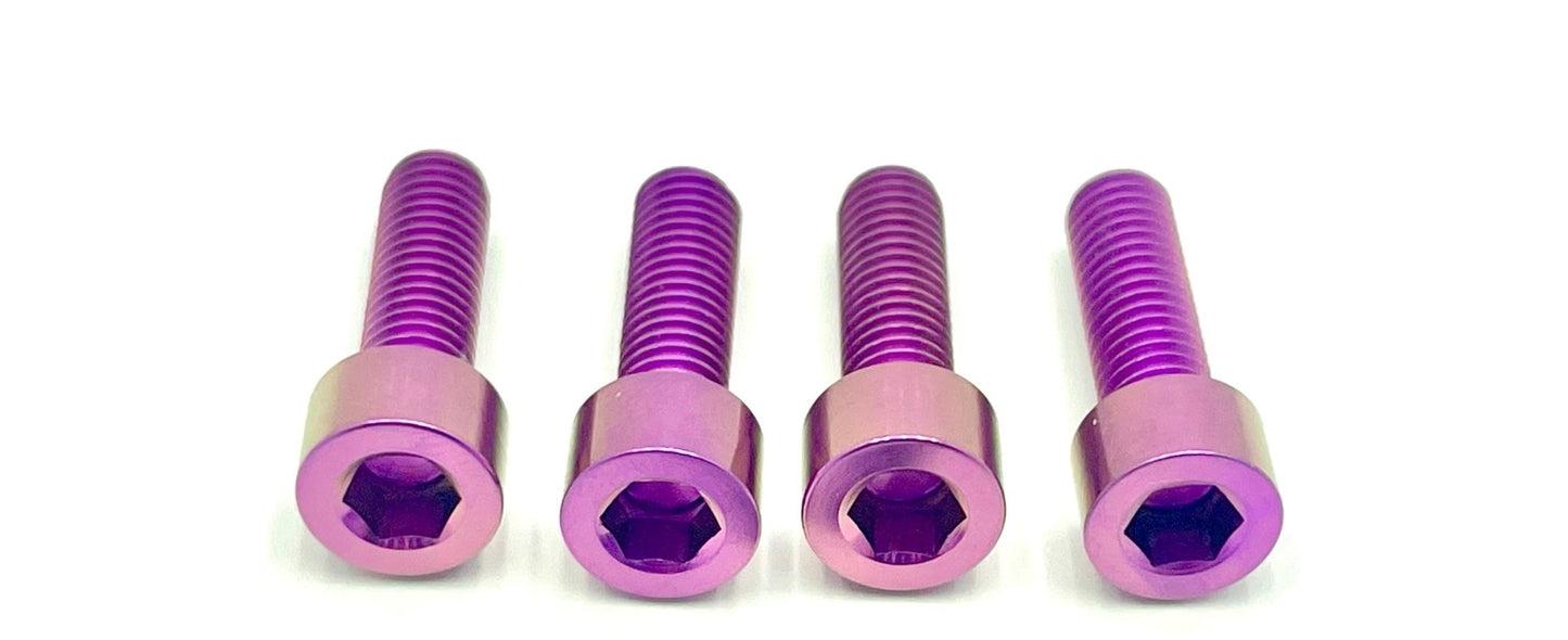 ALX32RC FastAce Fork Titanium Axle Pinch Bolts E-Ride Pro SS 3.0 and SR