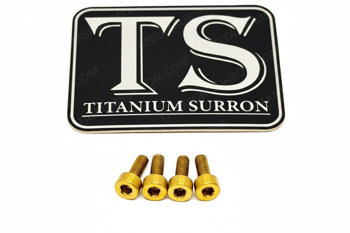 E-Ride Pro Display Protector Titanium Bolts - MXwraps