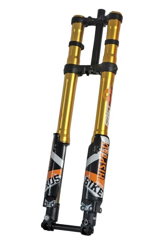 ALX13RC (2.0) FastAce Fork for E-Moto - MXwraps