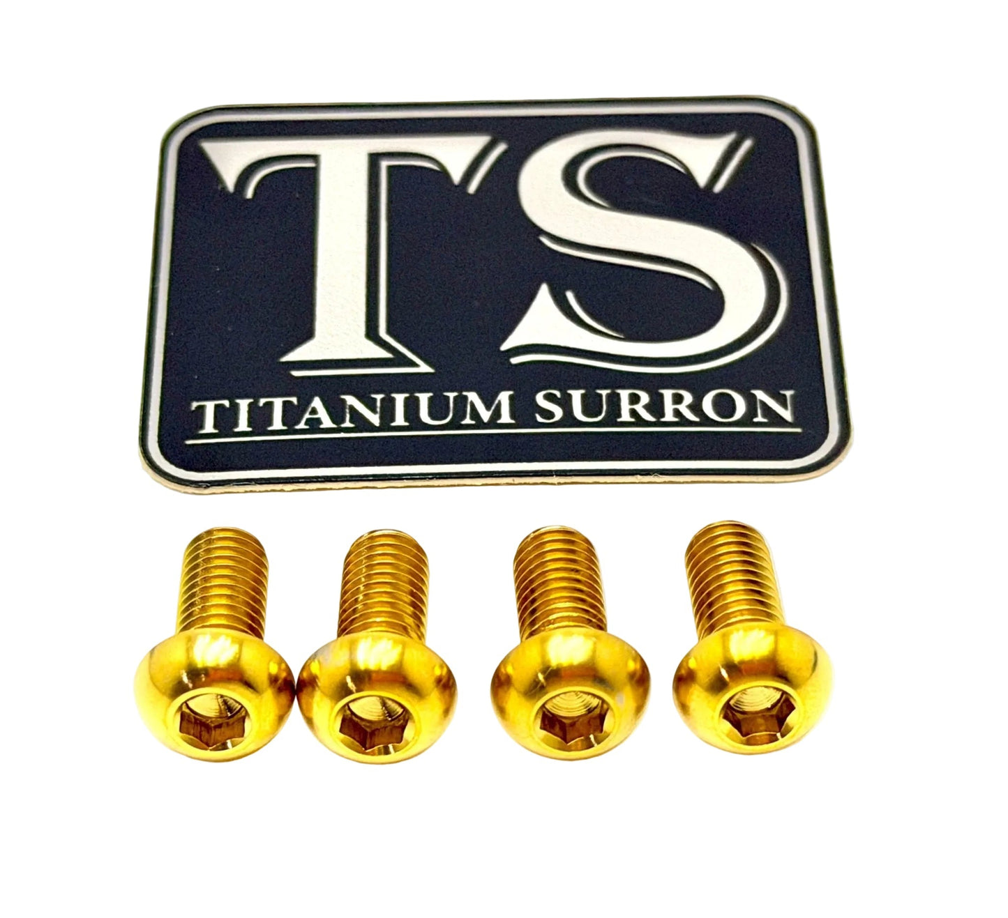 Titanium Controller Mount Bolts for E-moto - MXwraps