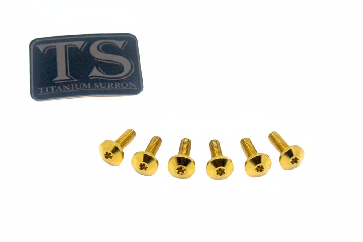 Titanium Front Rotor Bolts - E-Moto - MXwraps