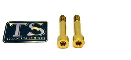 Titanium Motor Bolts - E-Ride Pro ERP SS and S