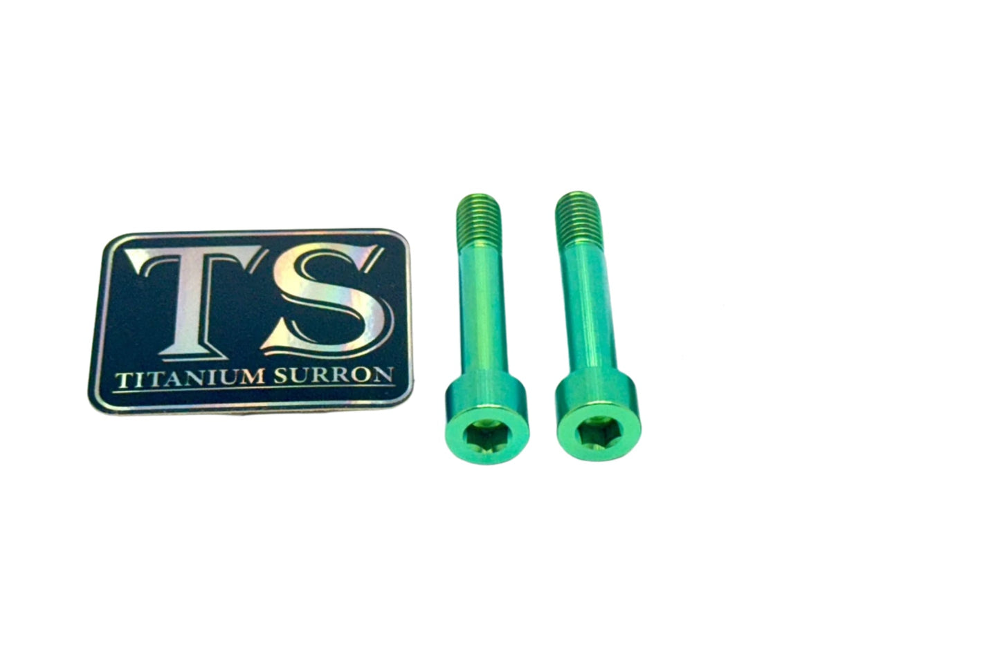 Titanium Motor Bolts - E-Ride Pro ERP SS and S