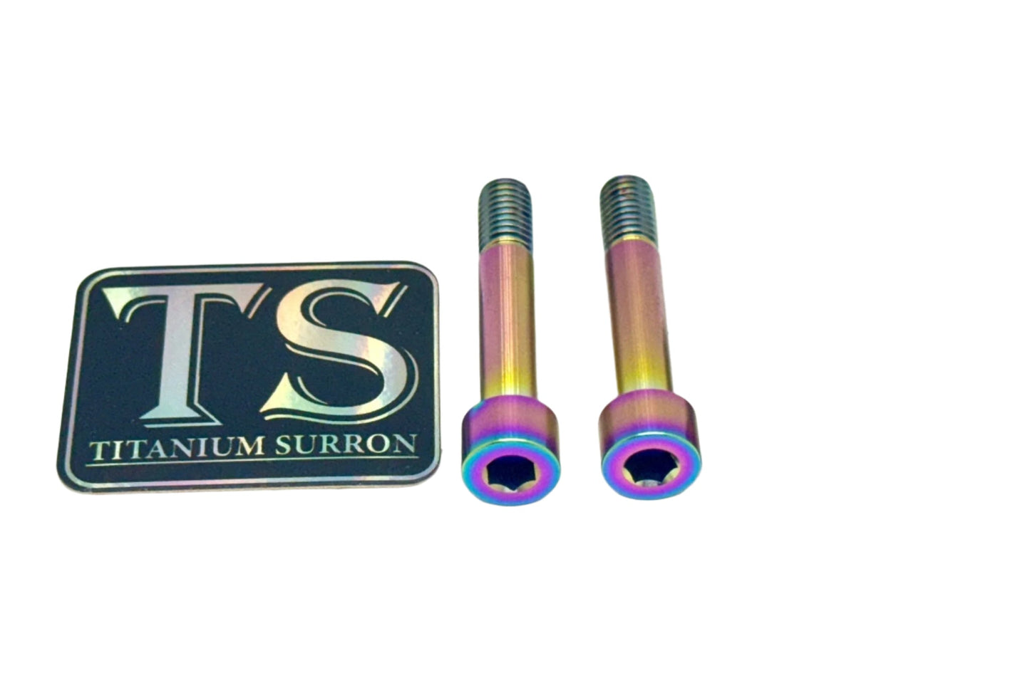 Titanium Motor Bolts - E-Ride Pro ERP SS and S