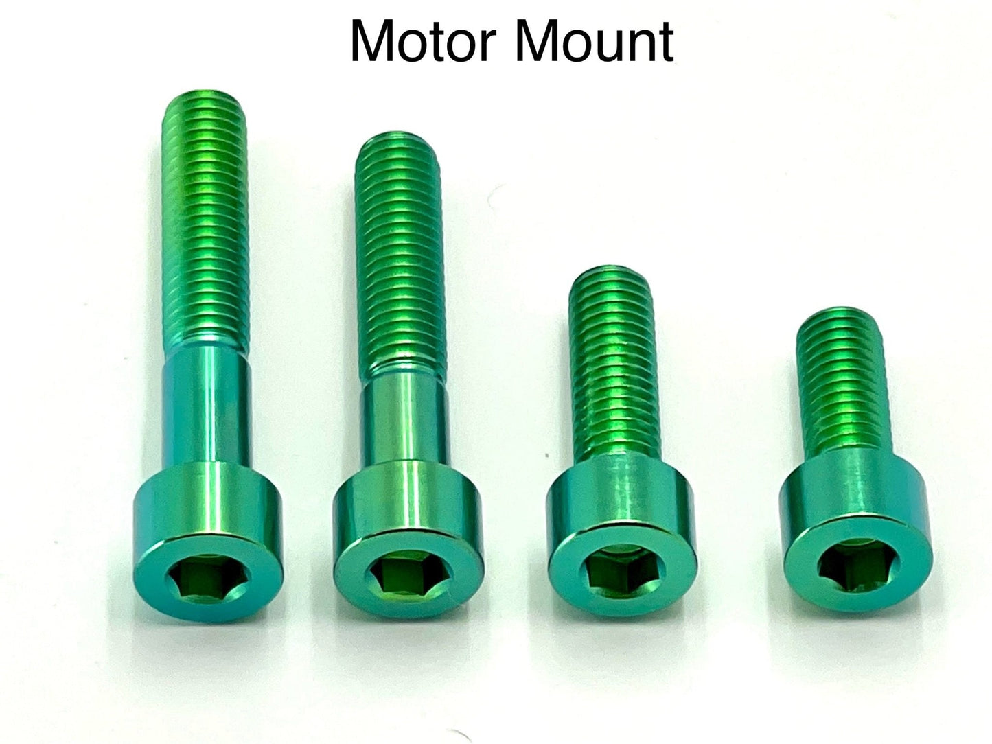 Titanium Motor Bolts - E-Ride Pro (2.0, 3.0, SR) - MXwraps