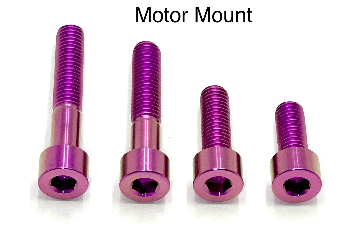 Titanium Motor Bolts - E-Ride Pro (2.0, 3.0, SR) - MXwraps