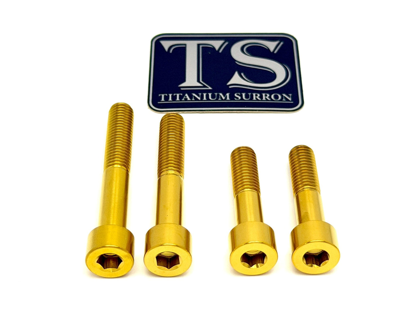 Titanium Motor Bolts - Surron Ultra Bee - MXwraps