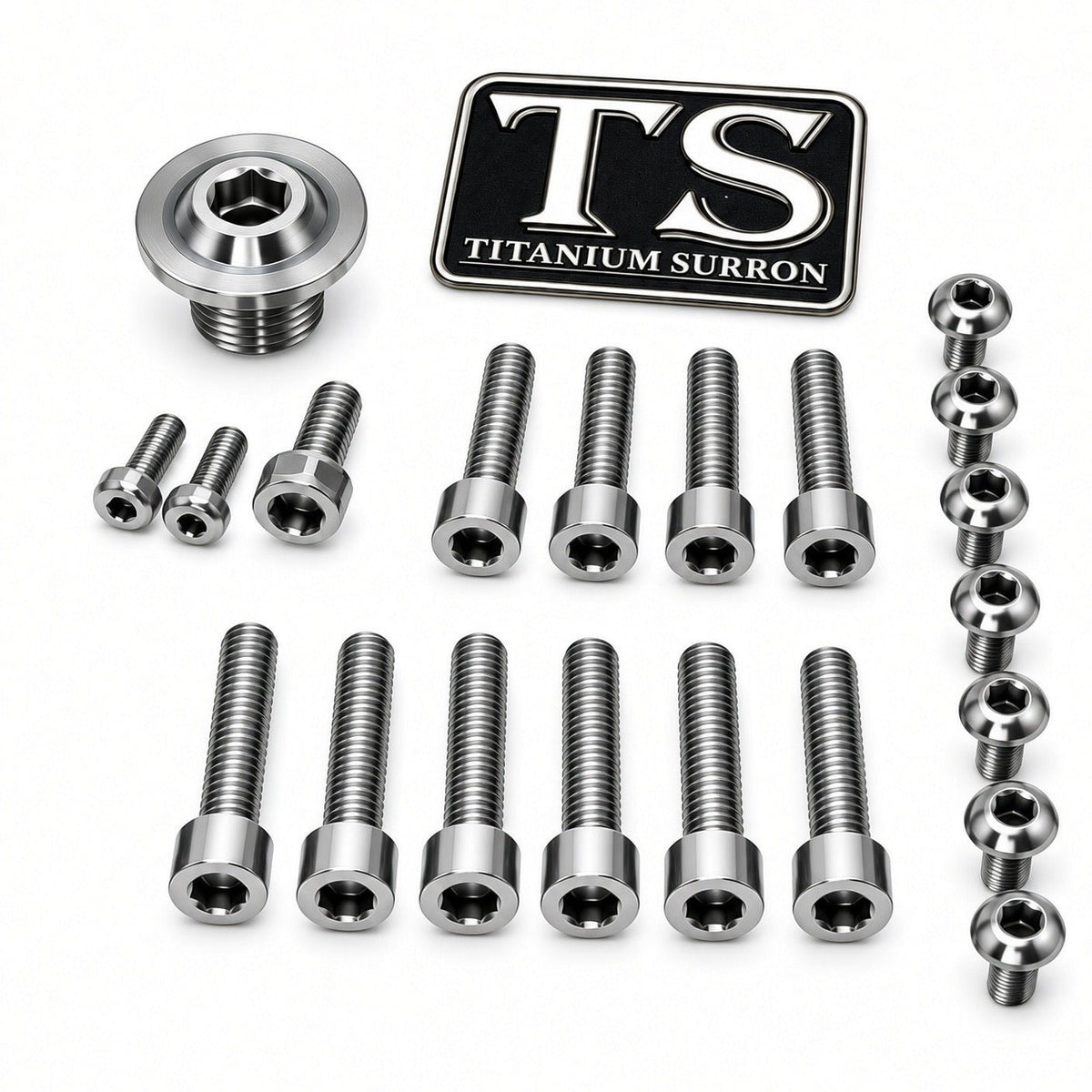 Titanium Surron Ultra Bee OEM Fork Bolt Kit - MXwraps