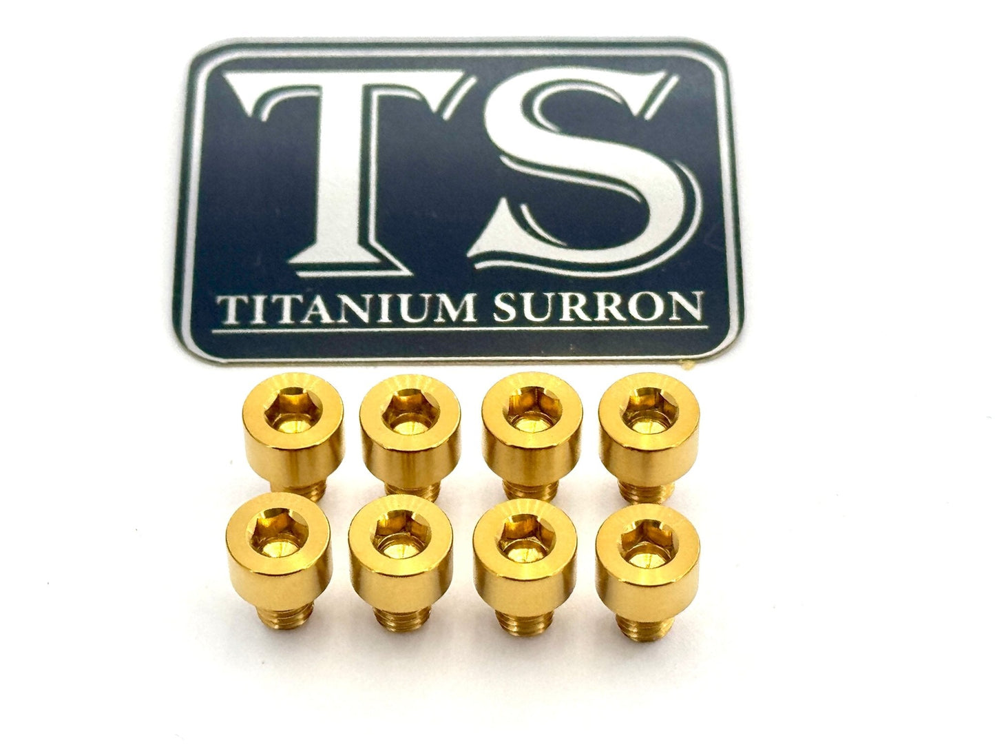 Ventus V9600 Heat Sink Titanium Bolt Kits (8 pcs) - MXwraps