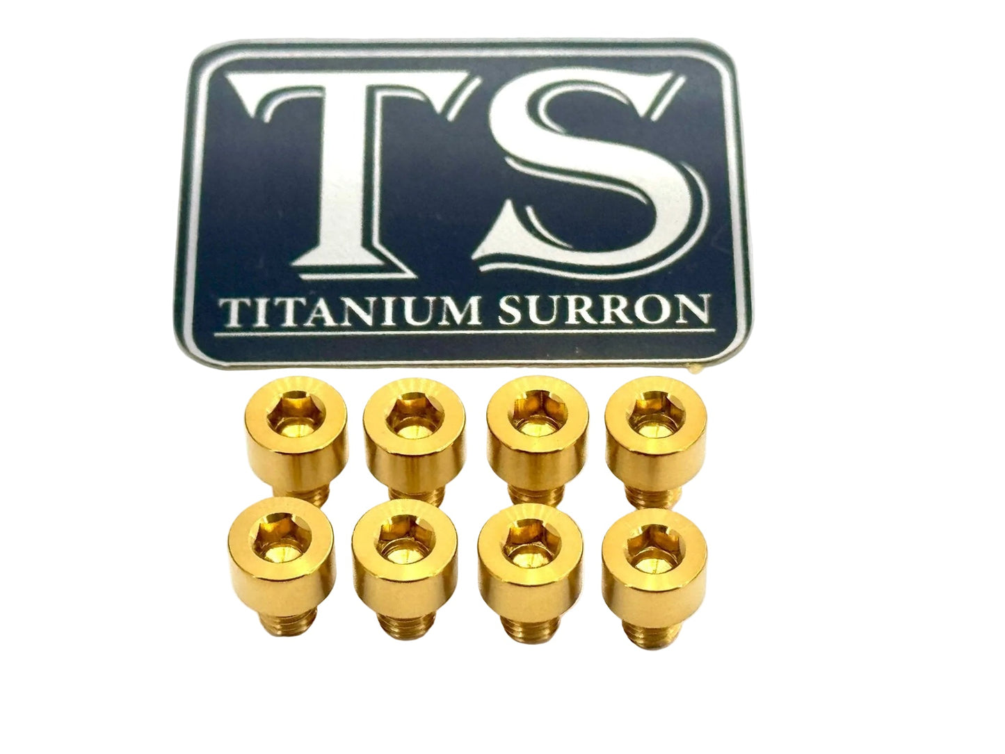 Ventus V9600 Heat Sink Titanium Bolt Kits (8 pcs) - MXwraps